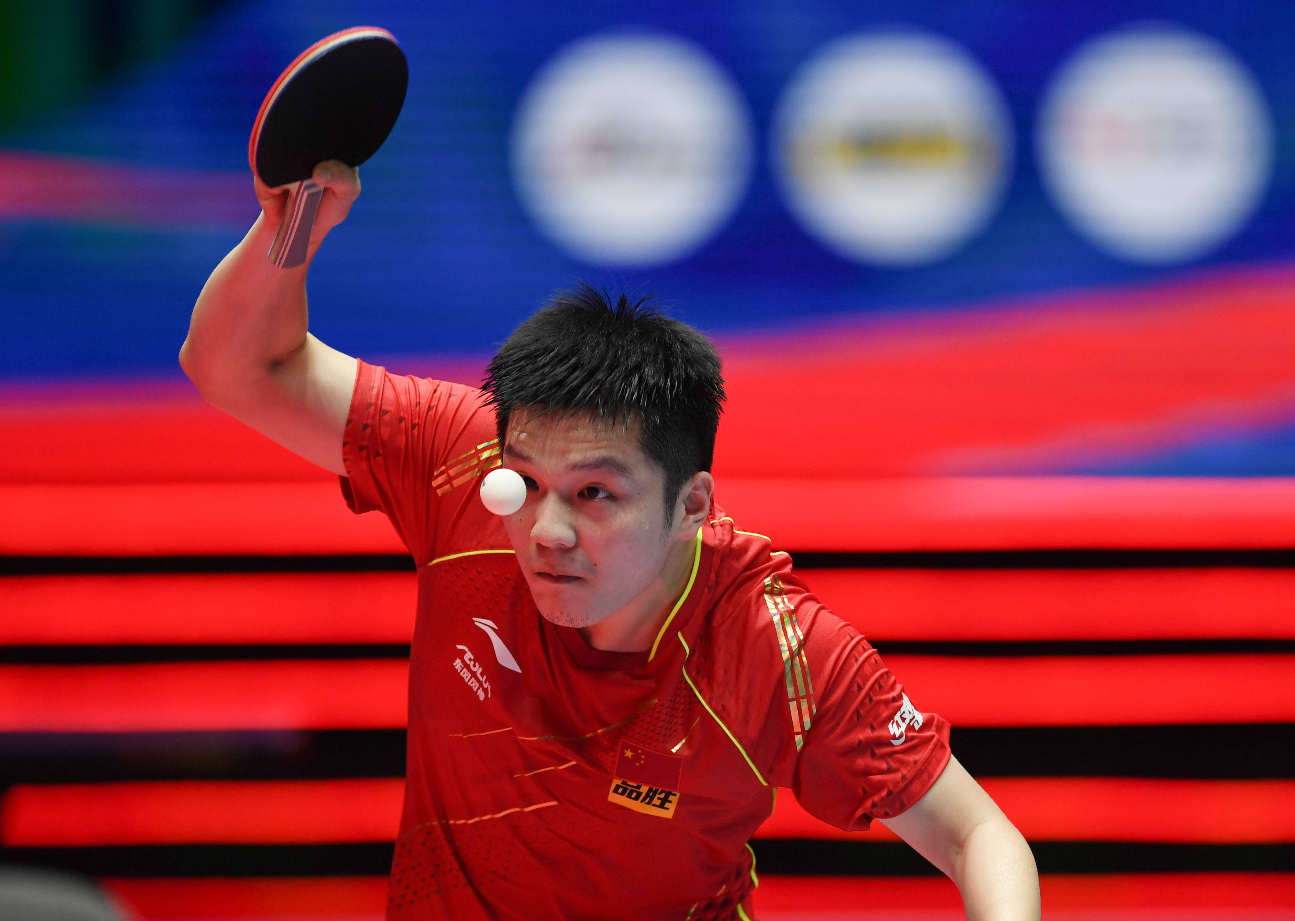 我们看到了 我们看到了